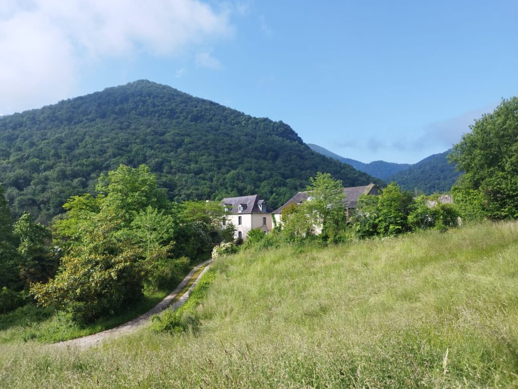 IMG-20230531-WA0008